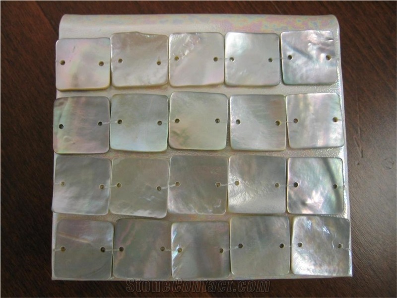 Colorful Shell Mosaic