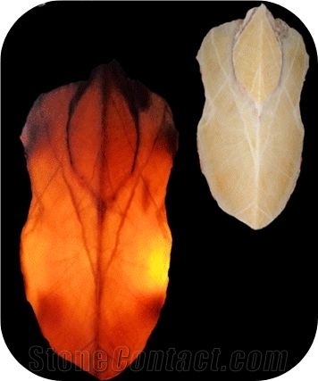 Onyx Wall Screen Office Decor