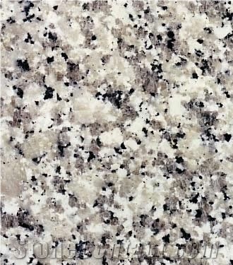 Bianco Sardo Granite
