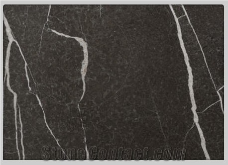 Anglesey Vein Marble Tiles