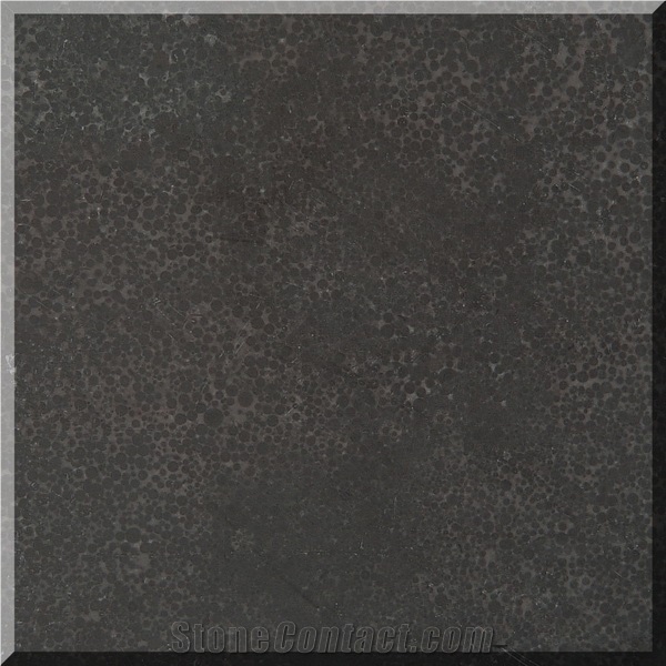 Fantasy Blue Limestone Tile for Flooring, Wall Cladding, Paving, Steps and Sculpture and More