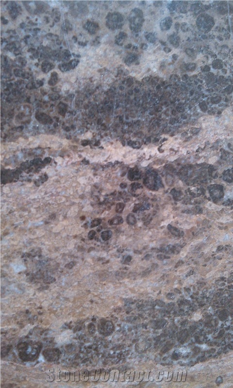 Golden Coast Marble Tile with Various Finishing, Marble Tile Manufacturer