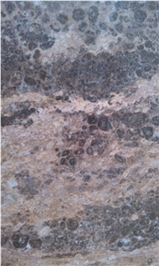 Golden Coast Marble Tile with Various Finishing, Marble Tile Manufacturer