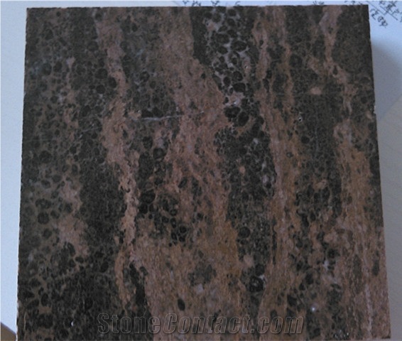 Golden Coast Marble Tile with Various Finishing, Marble Tile Manufacturer