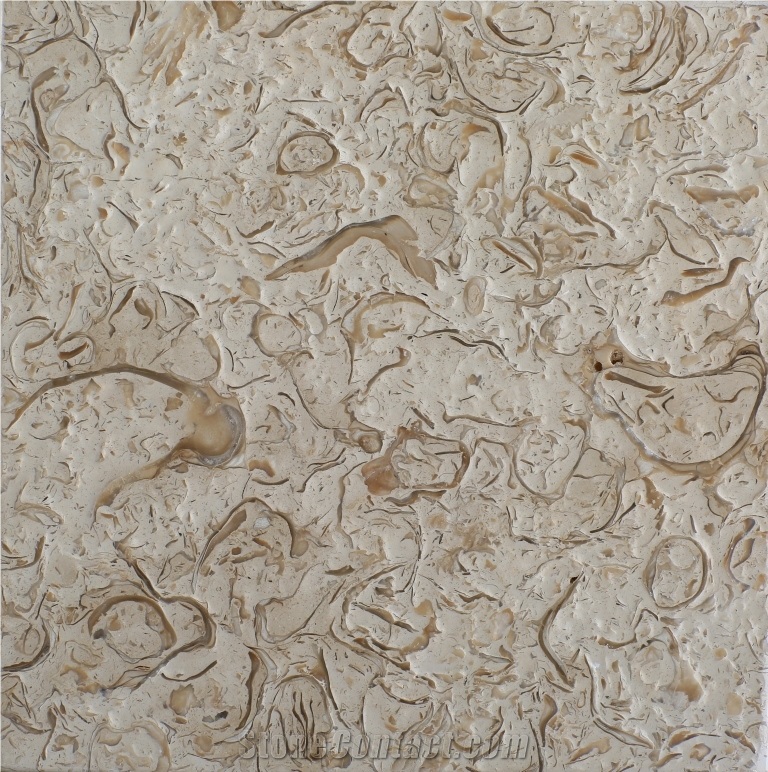 Shell Rhapsody Beige Slabs & Tiles, Shell Stone Beige Limestone Tiles