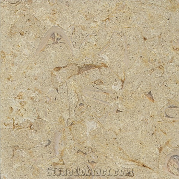 Belgian Truffles Limestone Tiles