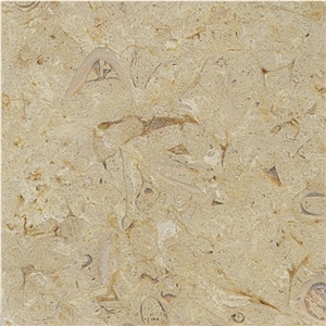 Belgian Truffles Limestone Tiles