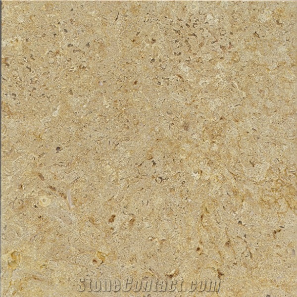 Belgian Truffles Limestone Tiles