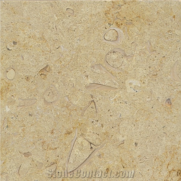 Belgian Truffles Limestone Tiles