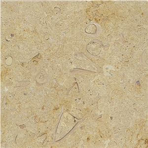 Belgian Truffles Limestone Tiles