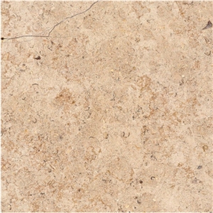 Sandy Creek Limestone Tumbled, Honed Tiles