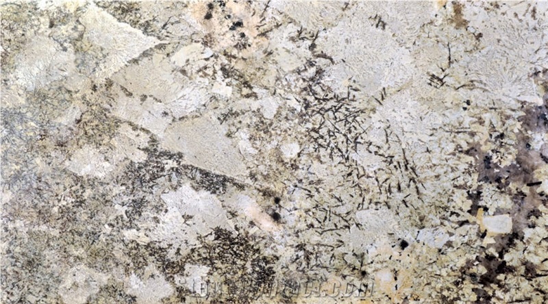 Bianco Delicatus Granite Slabs