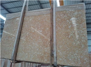 Shells Reef Gold Limestone Slabs & Tiles, Syria Yellow Limestone Shells Reef Gold Limestone Slabs & Tiles, Syria Yellow Limestone