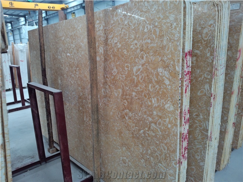 Shells Reef Gold Limestone Slabs & Tiles, Syria Yellow Limestone