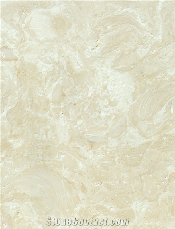 Abalone Reef Shells Reef Tiles, Abalone Reef Shellstone Limestone