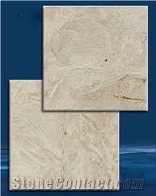 Abalone Reef Shells Reef Tiles, Abalone Reef Shellstone Limestone