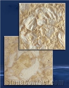 Abalone Reef Shells Reef Tiles, Abalone Reef Shellstone Limestone