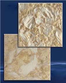 Abalone Reef Shells Reef Tiles, Abalone Reef Shellstone Limestone