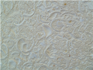 Coquina Sisal Mexican Shell Stone Slabs & Tiles, Coquina Shellstone Limestone Tiles
