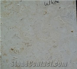 Dominican White Coral Stone Brushed Tiles 3/4"