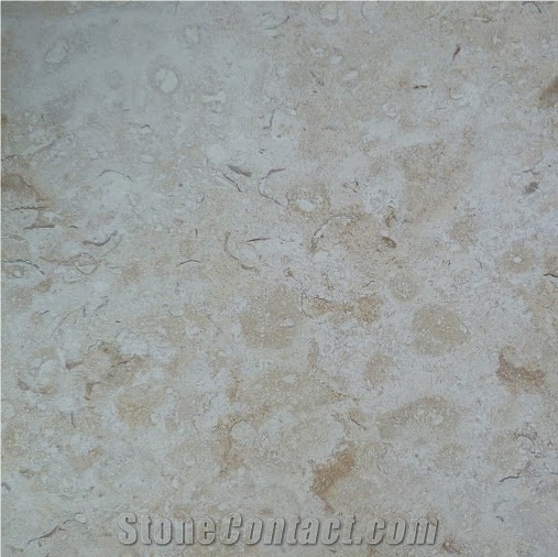 Marbella Philippine Shellstone Tiles, Marbella Shellstone Limestone