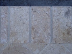 Marbella Philippine Shellstone Tiles, Marbella Shellstone Limestone
