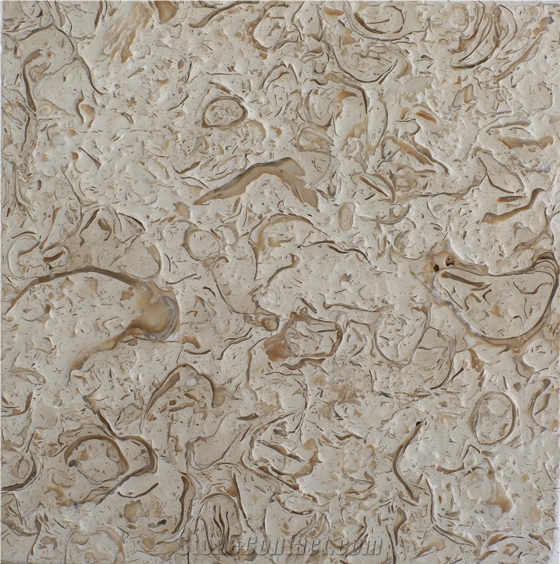 Mini-Abalone Sea Shellstone Beige and Green Slabs & Tiles, Abalone Shellstone Beige Limestone Tiles