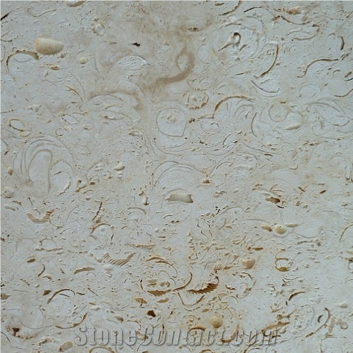 Ostra Mexican Shellstone Tiles, Ostra Shellstone Limestone