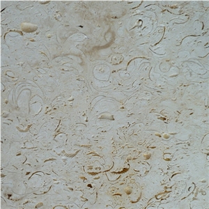 Ostra Mexican Shellstone Tiles, Ostra Shellstone Limestone