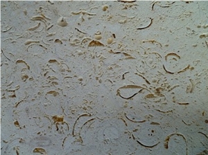 Ostra Mexican Shellstone Tiles, Ostra Shellstone Limestone