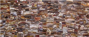 Semi-Precious Petrified Wood Slabs, Tile and Decor