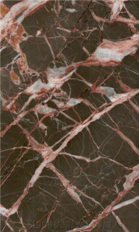 China Cuckoo Red Marble,Royal Flower Brown Beauty Marble,Guangxi Red Marble Tiles for Wall Panel