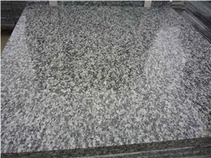 G623 Polished Tiles, 60x30x3cm, 1200m2 in Stock, Fujian Zhangpu Granite