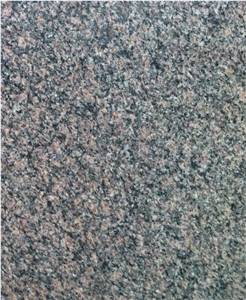Royal Brown Granite Slabs, Costa Dakota Granite Tiles & Slabs