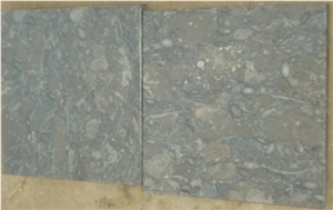 Dark Fossil Brown (Gray Limestone) Flooring Slabs from Pakistan, Grey Pakistan Limestone Tiles & Slabs