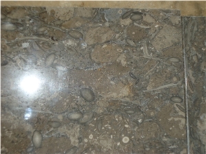 Fossil Limestone Free Length Slabs