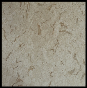 Lyca Beige Royal