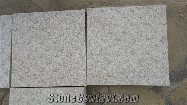 New G603 Granite Tiles with Tactile, China Grey Granite