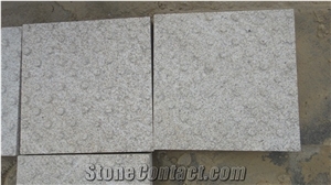 New G603 Granite Tiles with Tactile, China Grey Granite