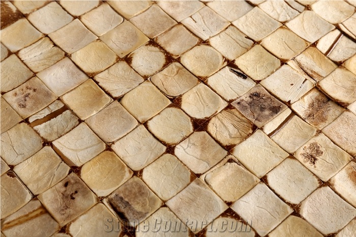 China Coco Mosaic Tiles Manufacture Cosf-Ttn15