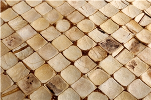 China Coco Mosaic Tiles Manufacture Cosf-Ttn15