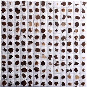 China Coco Mosaic Tiles Manufacture Cosf-Ttn20