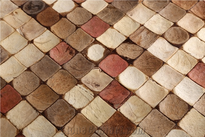 Coco Mosaic Tiles Manufacture China Cosf-Ttn11