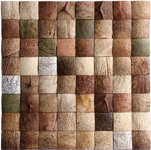 Coco Mosaic Tiles Manufacture China Cosf-Ttn5