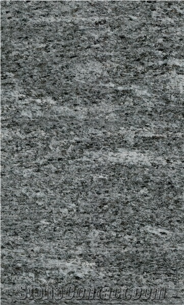 Calanca Gneiss Slabs & Tiles, Switzerland Grey Gneiss