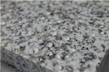 Stone Protective Agent Concentrate 1:20