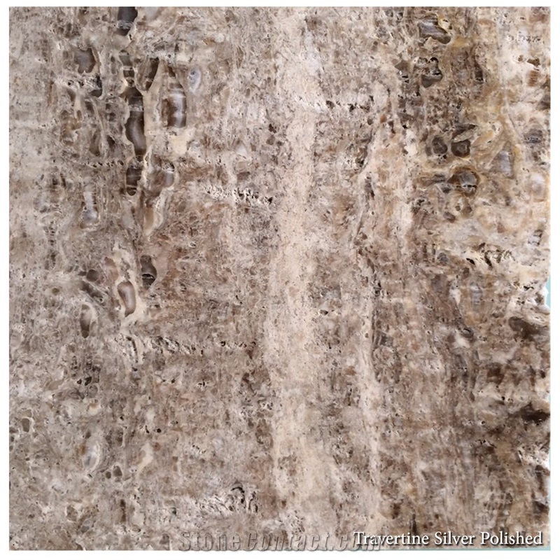 Silver Travertine,Tiles & Slabs, Wall Tiles