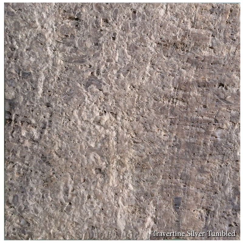 Silver Travertine,Tiles & Slabs, Wall Tiles