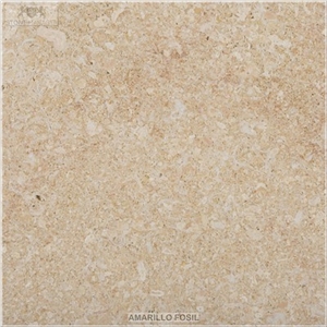 Amarillo Fosil Limestone Tiles & Slabs, Yellow Polished Limestone Floor Tiles, Wall Tiles Amarillo Fosil Limestone Tiles & Slabs, Yellow Polished Limestone Floor Tiles, Wall Tiles