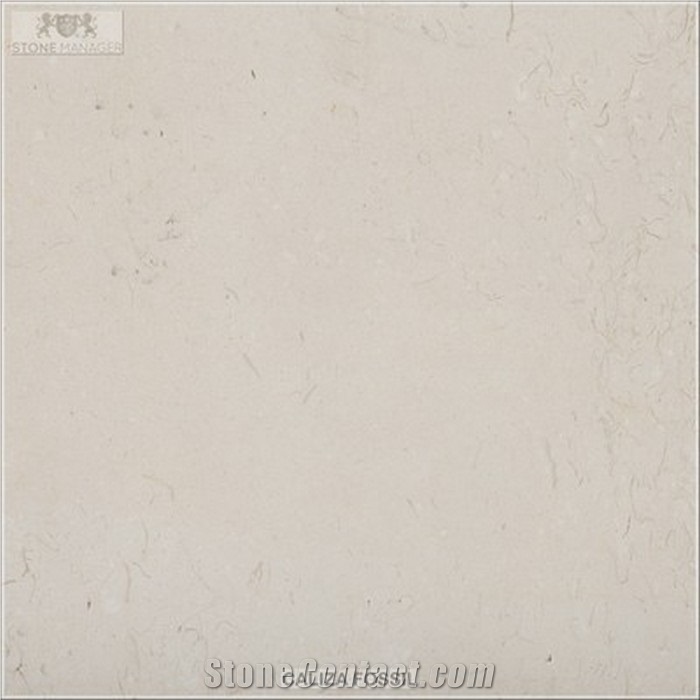 Caliza Fossil Limestone Tiles & Slabs, Spain Limestone Tiles & Slabs